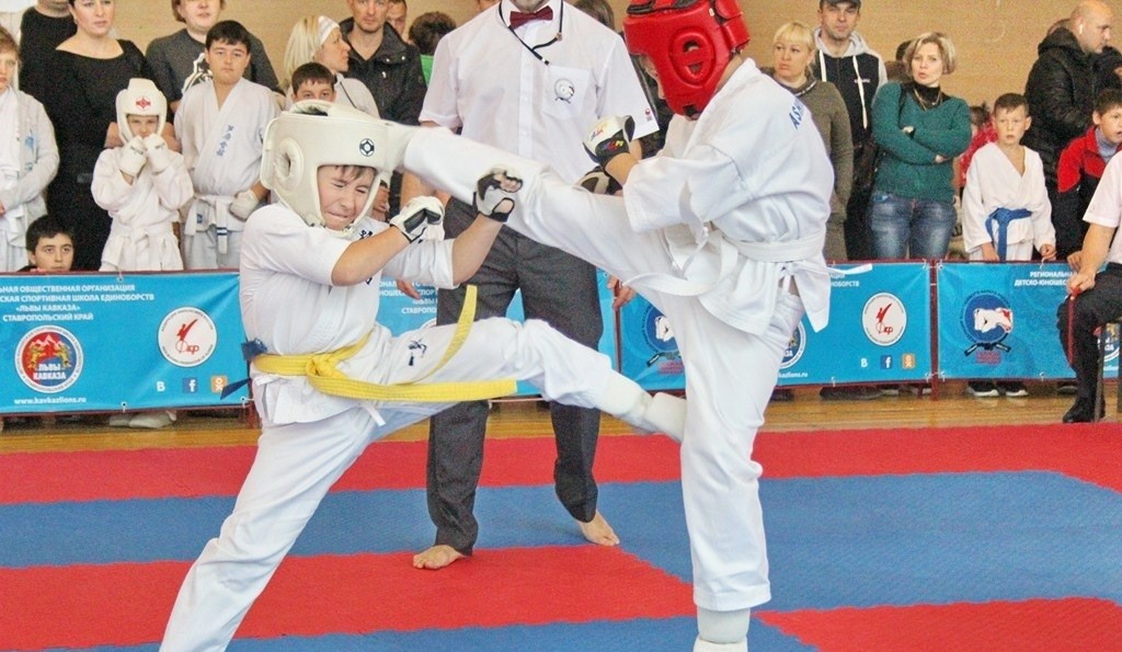 Более 200 ставропольских спортсменов соберутся на открытом первенстве по каратэ в Минеральных Водах