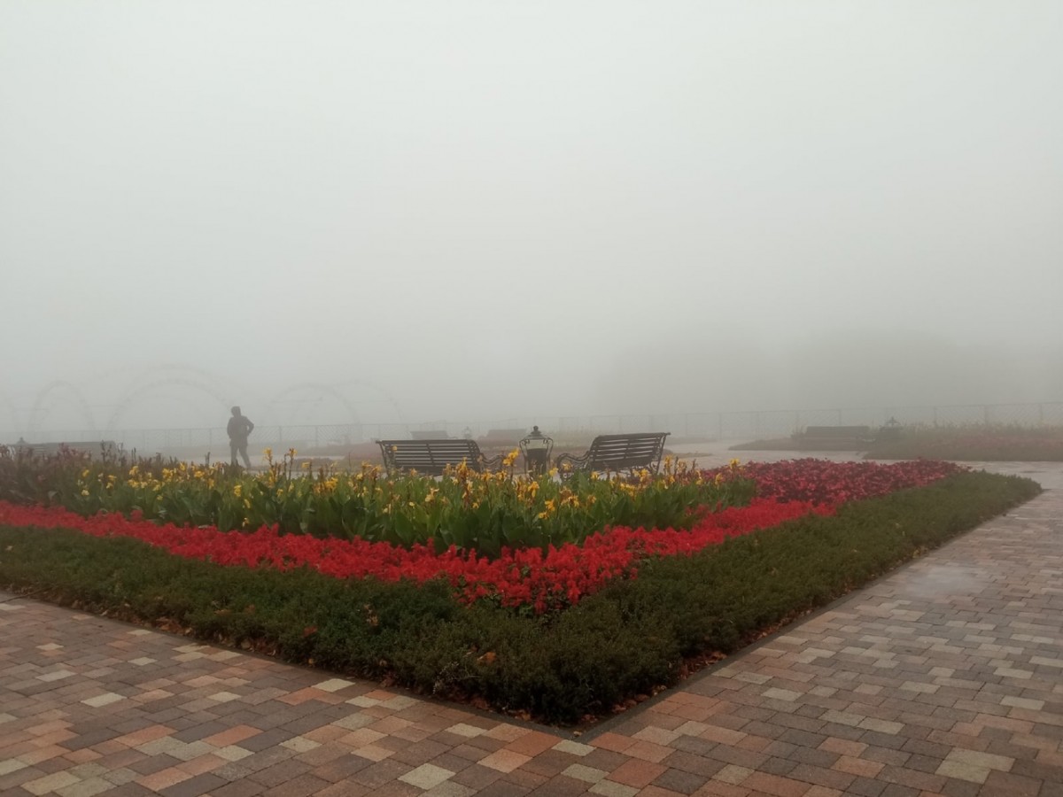 В понедельник на Ставрополье вернется осенняя погода с дождем и туманом