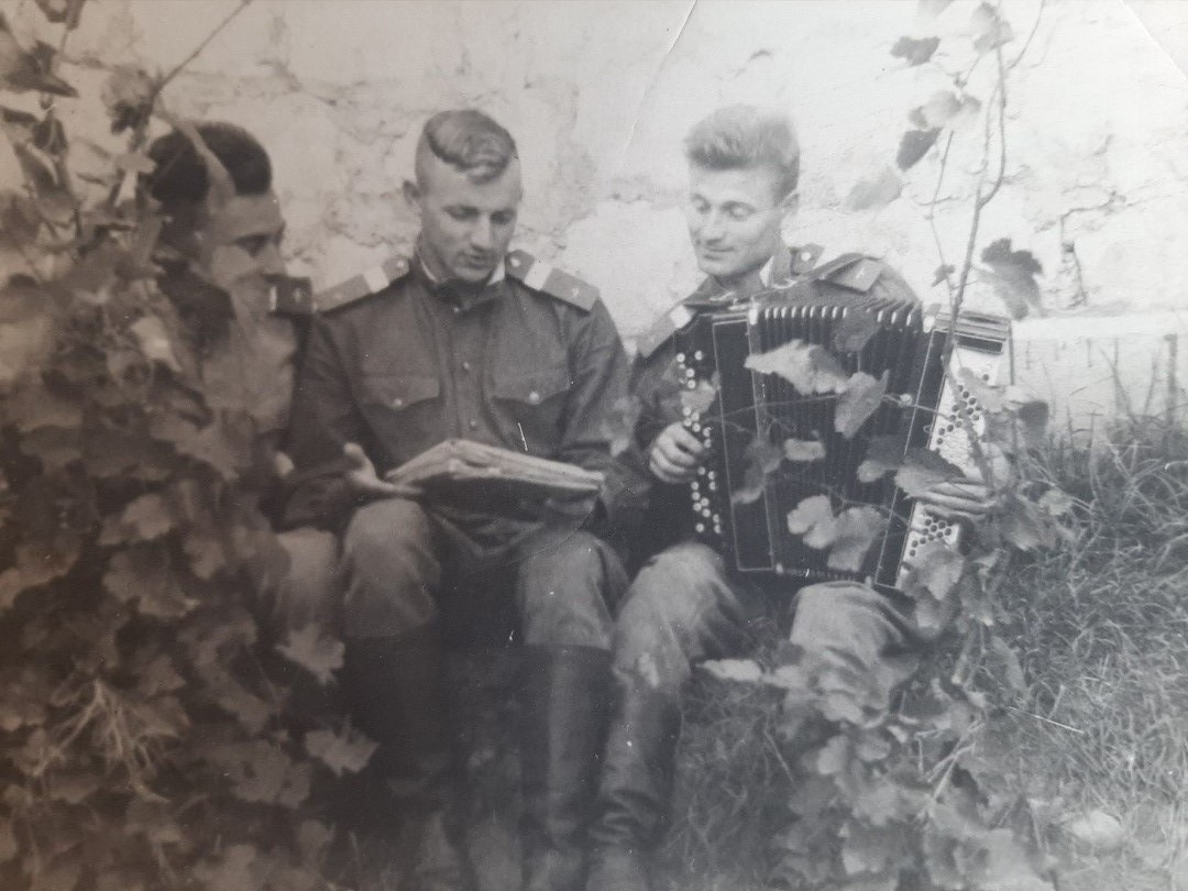 Как восстановить генеалогическое древо?