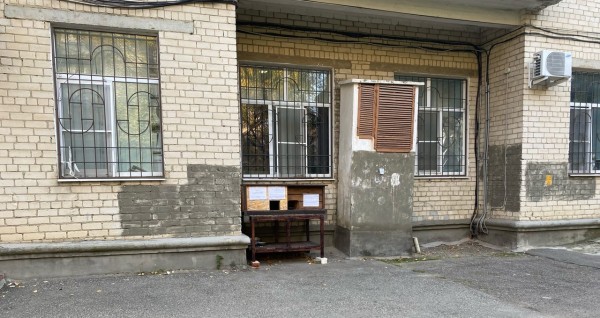В Ставрополе женщина за собственные деньги установила первый в городе кошкин дом