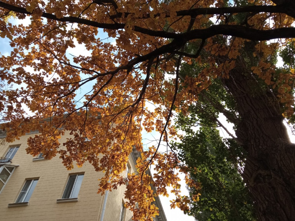 3-4 ноября на Ставрополье ожидается до +18 градусов