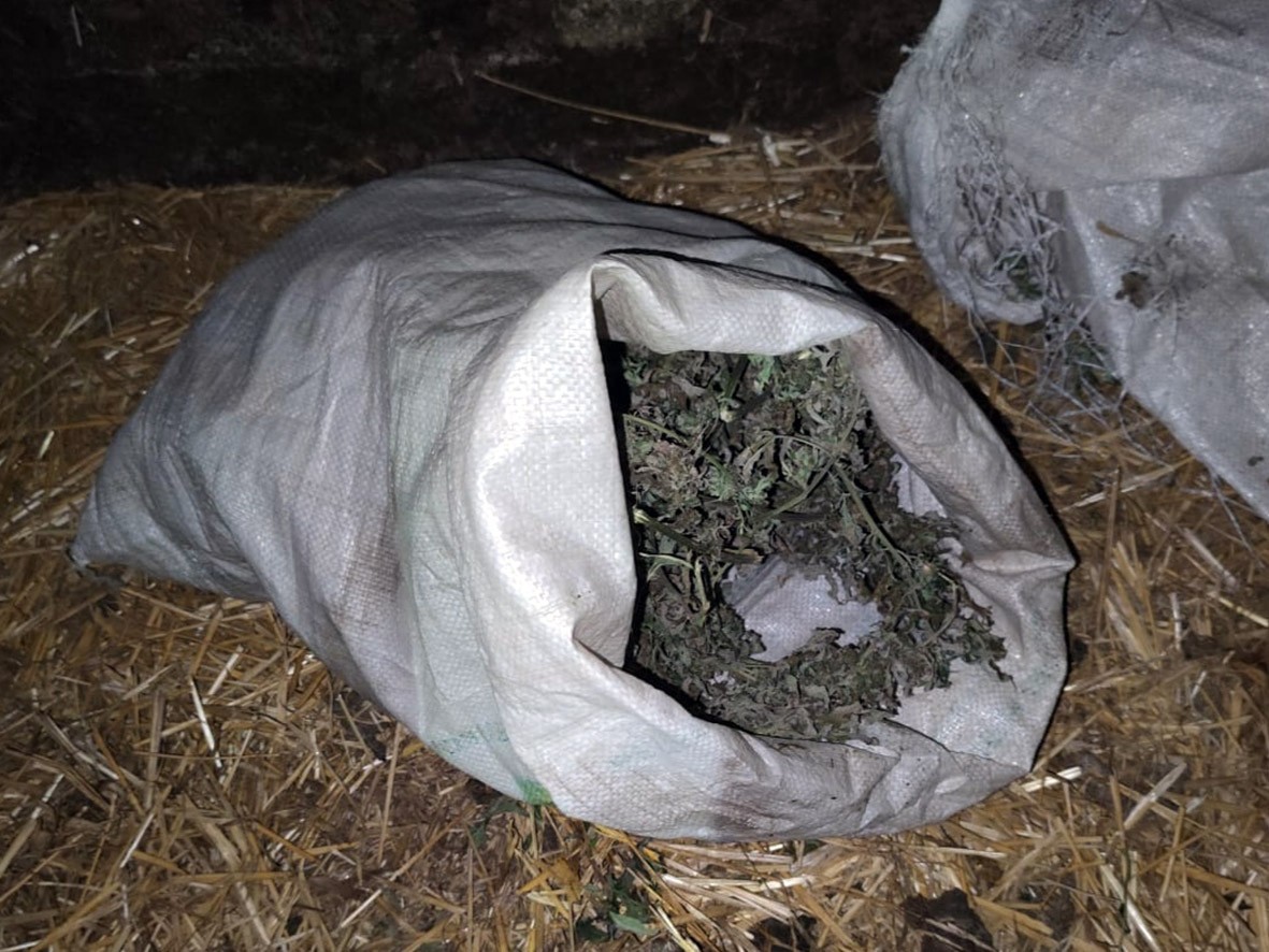 Около килограмма марихуаны изъяли у 25-летнего жителя Ставрополья Около килограмма марихуаны изъяли у 25-летнего жителя Ставрополья
