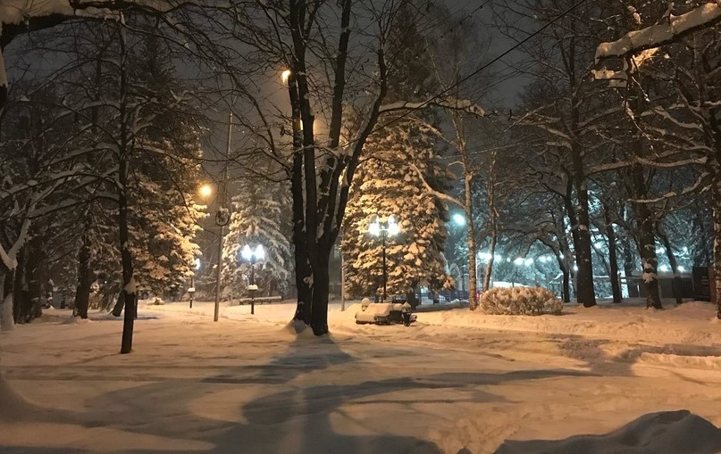 В центральном парке Железноводска создадут горку для круглогодичного катания В центральном парке Железноводска создадут горку для круглогодичного катания