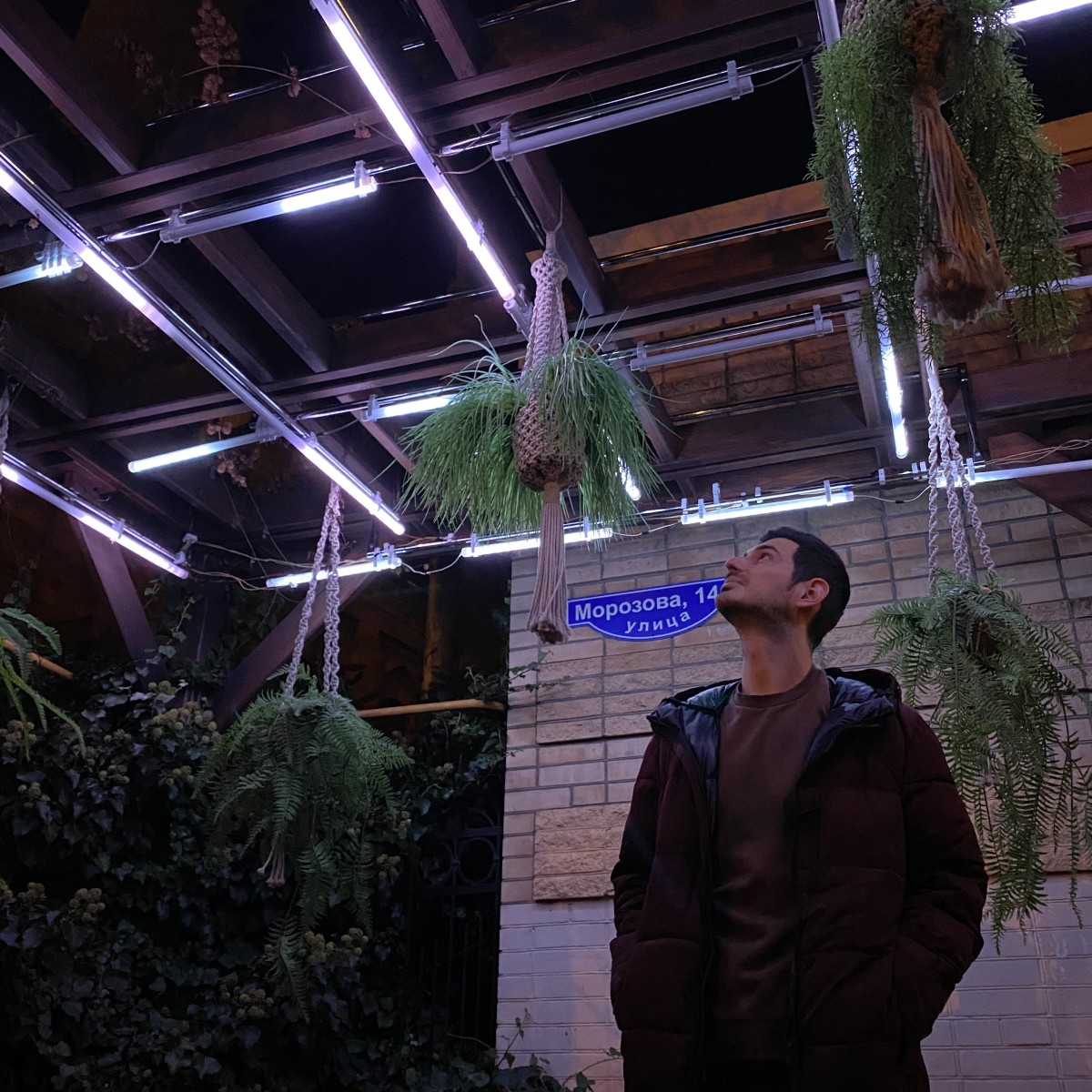 Медиахудожник создал интерактивные инсталляции под открытым небом в центре Ставрополя