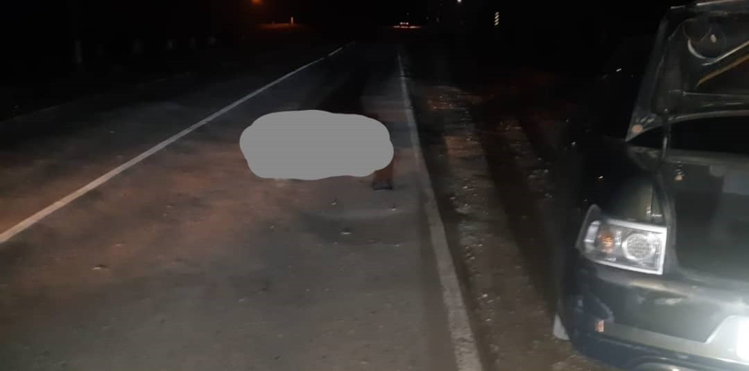 На Ставрополье насмерть сбили мужчину на нерегулируемом пешеходном переходе На Ставрополье насмерть сбили мужчину на нерегулируемом пешеходном переходе