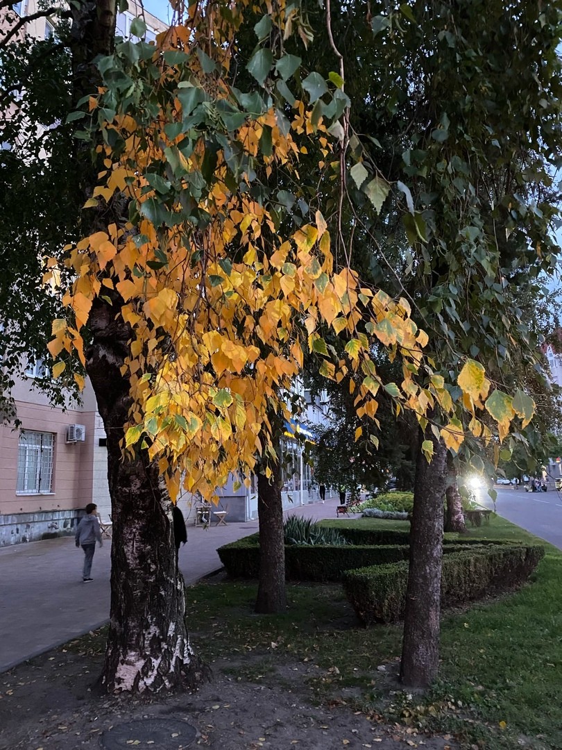 До +10 градусов потеплеет на Ставрополье 14 и 15 ноября До +10 градусов потеплеет на Ставрополье 14 и 15 ноября