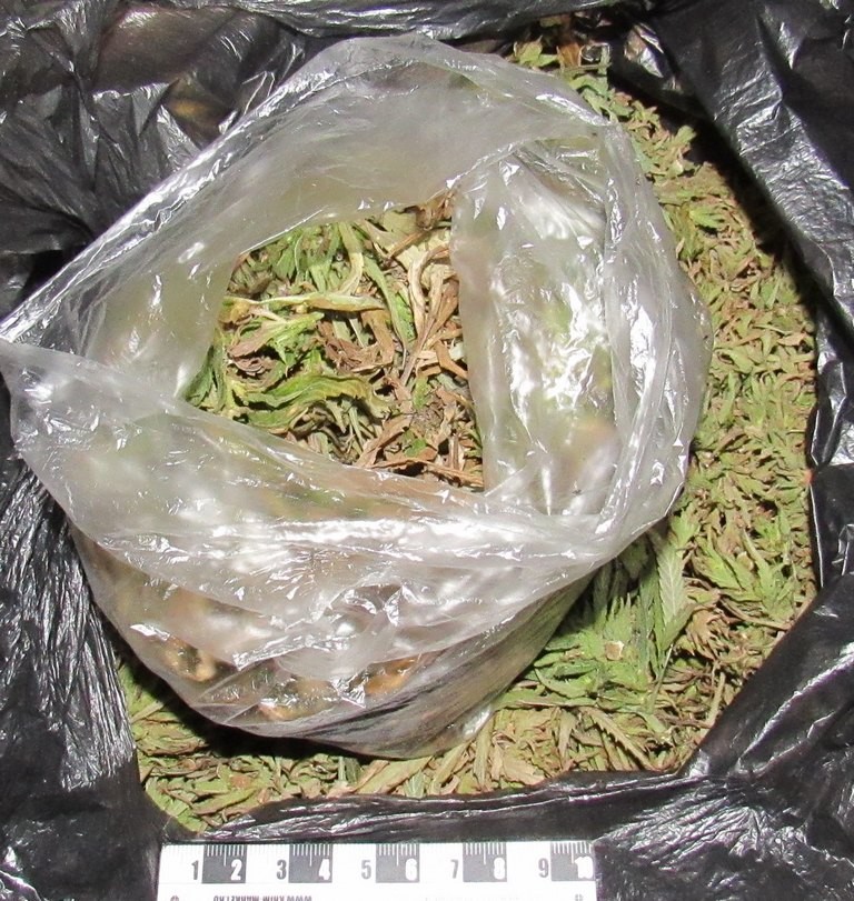 В доме ставропольца обнаружили наркопритон В доме ставропольца обнаружили наркопритон