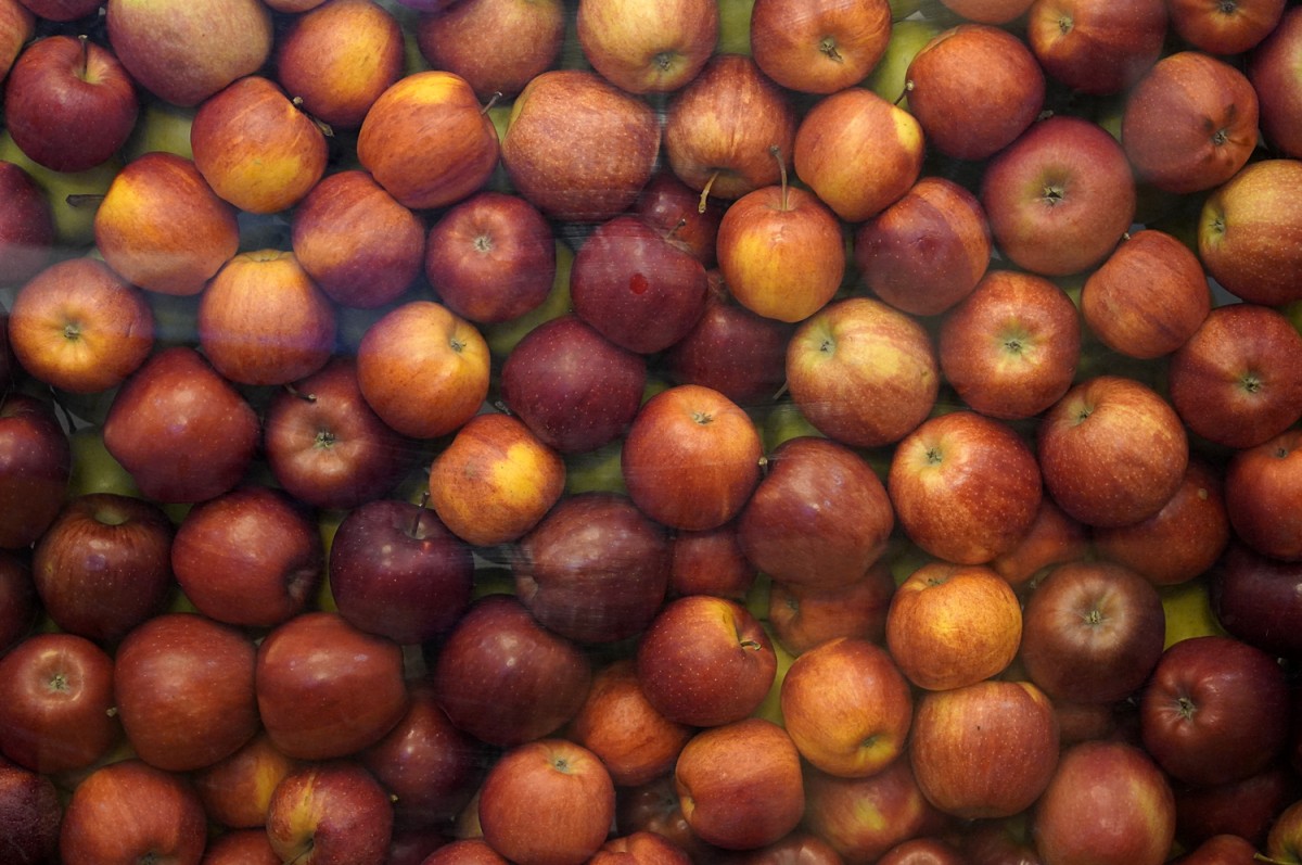 Ставропольские яблоки признаны "Вкусом России" Ставропольские яблоки признаны "Вкусом России"