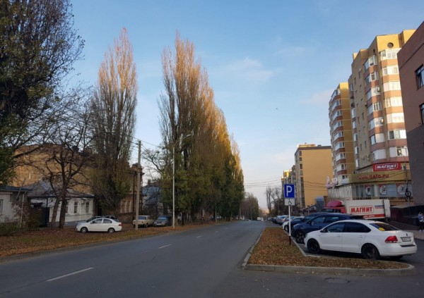 Эксперты прокомментировали расширение до четырех полос улицы Ленина в Ставрополе