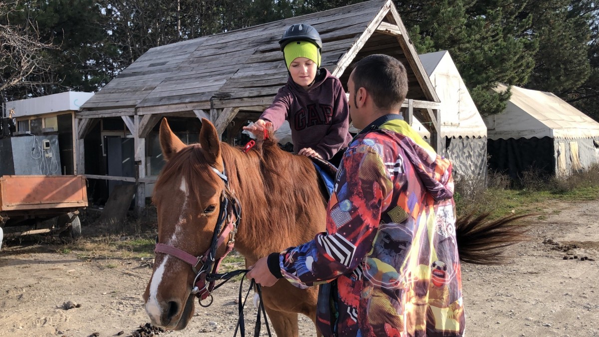 Комплекс иппотерапии для реабилитации детей с ОВЗ построят в Ессентуках