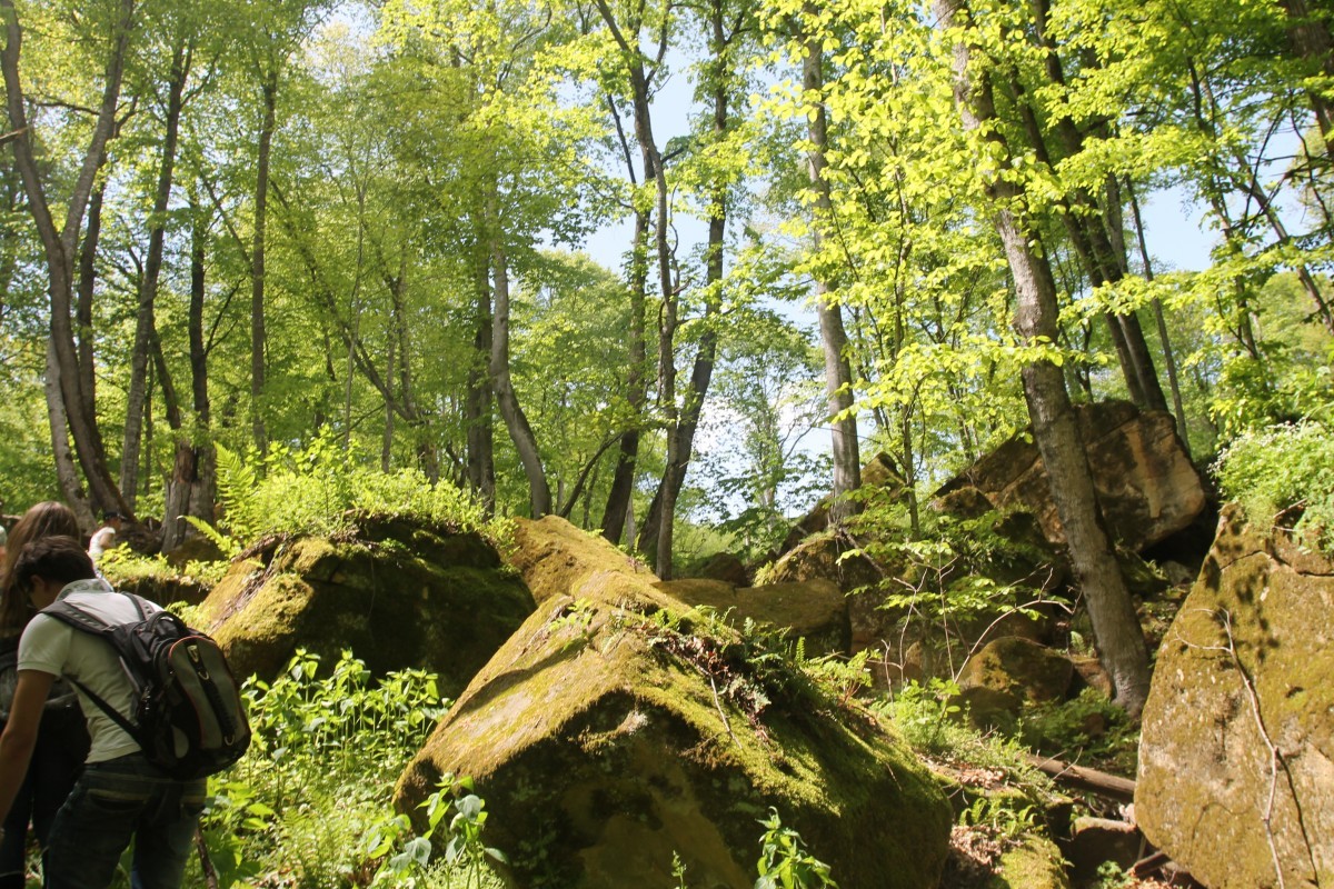 Прокурор Ставрополья предъявил в суд иск в связи с нарушениями закона об особо охраняемых природных территориях Прокурор Ставрополья предъявил в суд иск в связи с нарушениями закона об особо охраняемых природных территориях