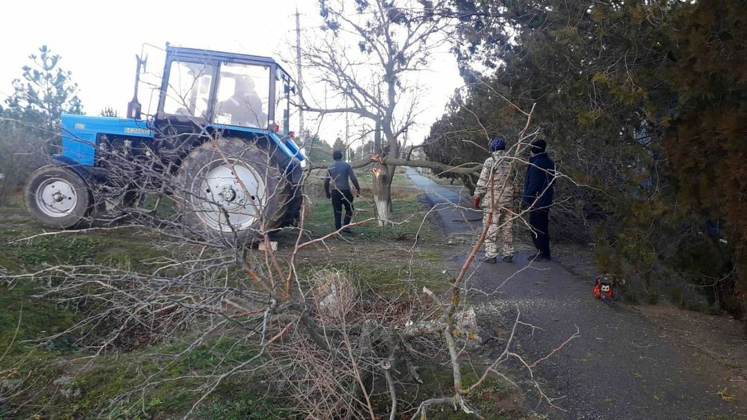 В Арзгирском округе Ставрополья ликвидируют последствия шквалистого ветра В Арзгирском округе Ставрополья ликвидируют последствия шквалистого ветра