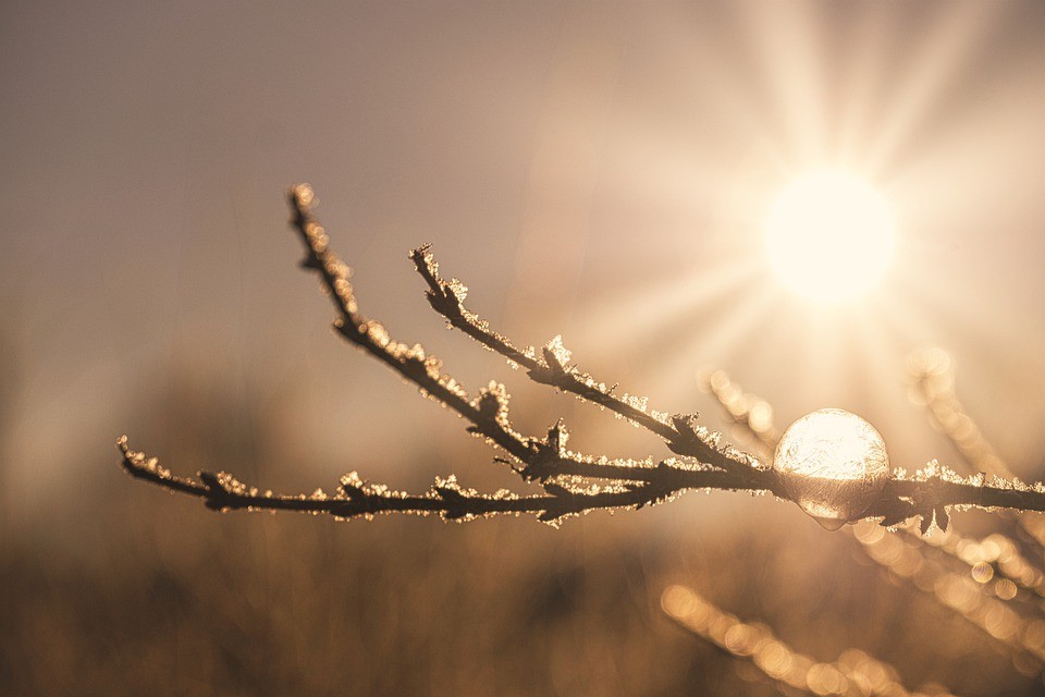Теплые и безоблачные выходные ждут жителей Ставрополья Теплые и безоблачные выходные ждут жителей Ставрополья