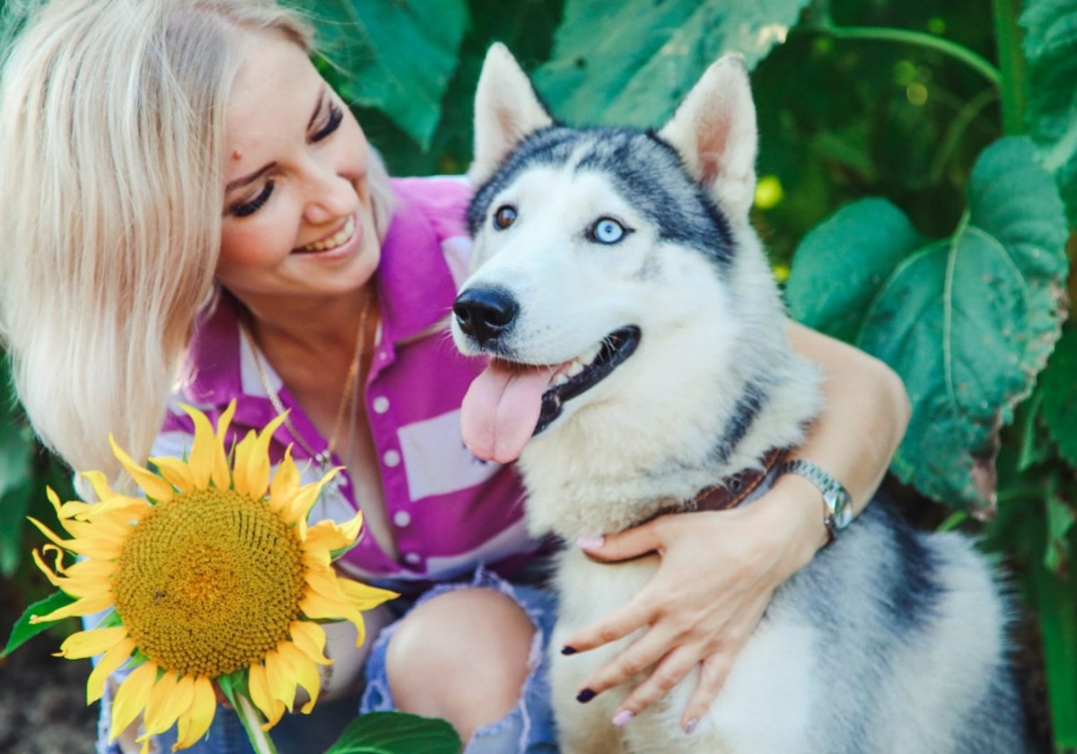 Волонтёр из Ставрополья спасла более 350 бездомных животных