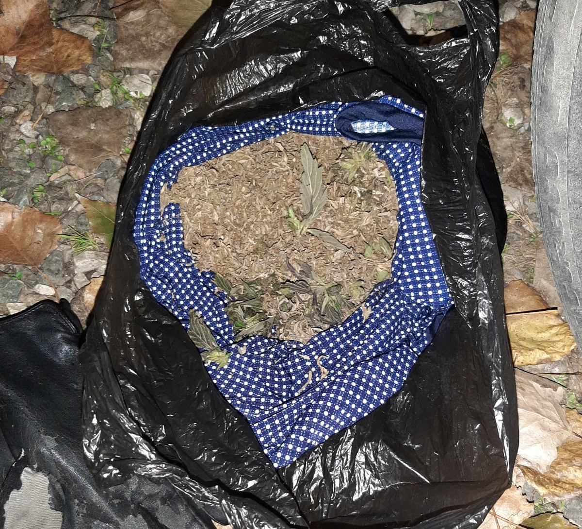 18-летнего жителя Ставрополья задержали за незаконное хранение марихуаны