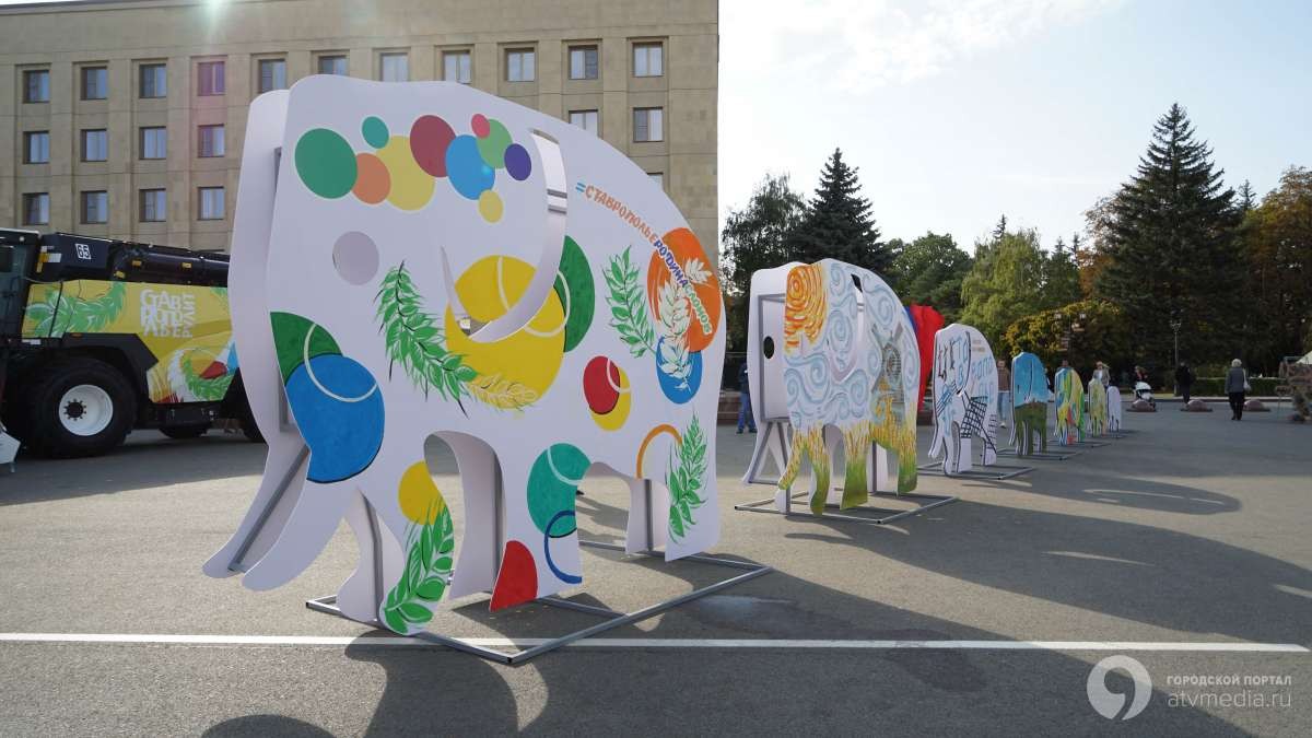 Ставрополь занимает первое место в голосовании за лучший город России Ставрополь занимает первое место в голосовании за лучший город России