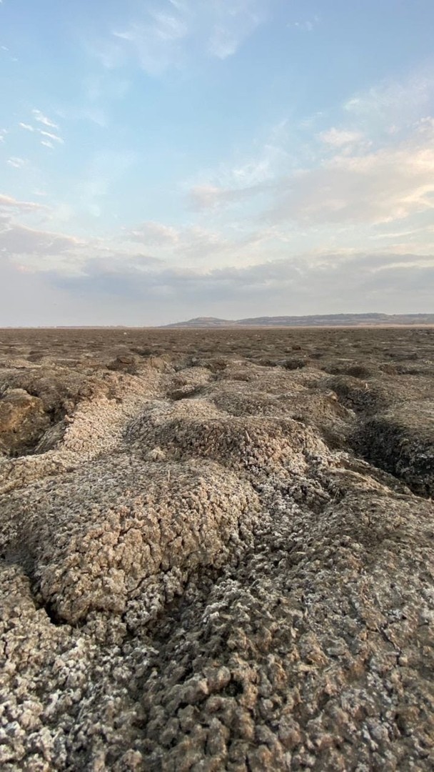 Причины высыхания Вшивого озера назвал ставропольский эколог Причины высыхания Вшивого озера назвал ставропольский эколог