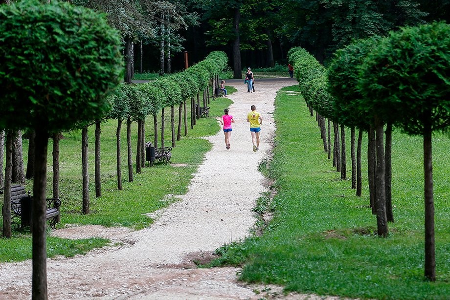 Кисловодск вошел в топ главных мировых маршрутов для беговой подготовки