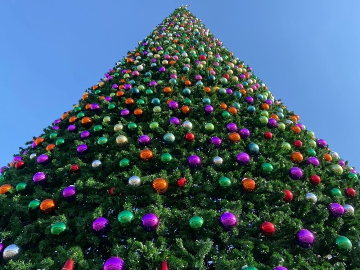 В период новогодних каникул на Ставрополье будут дежурить свыше 1500 правоохранителей