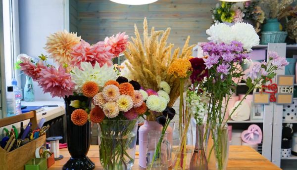 Какие цветы дарить осенью. Как за ними ухаживать