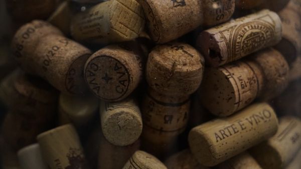 Как выбрать вино? Советы от сомелье