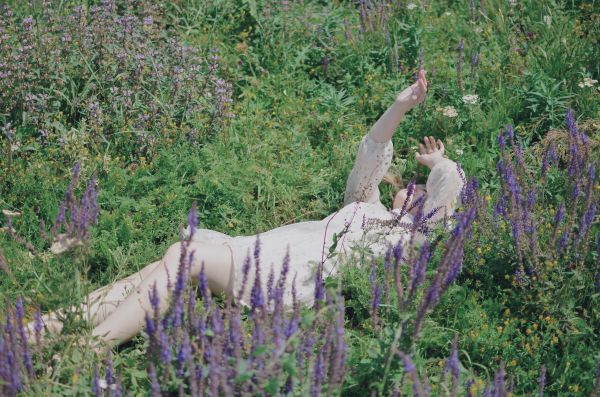 От лаванды до кораллов: живописные поля Ставропольского края