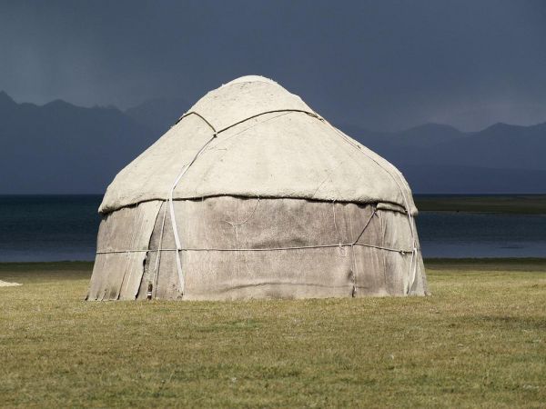 Как ногайцы появились на Ставрополье?