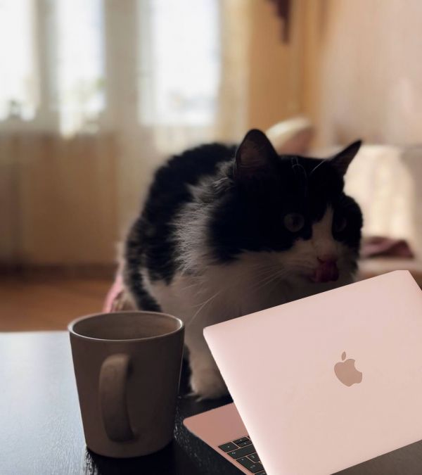 Как перевести бизнес из офлайна на онлайн-платформы?