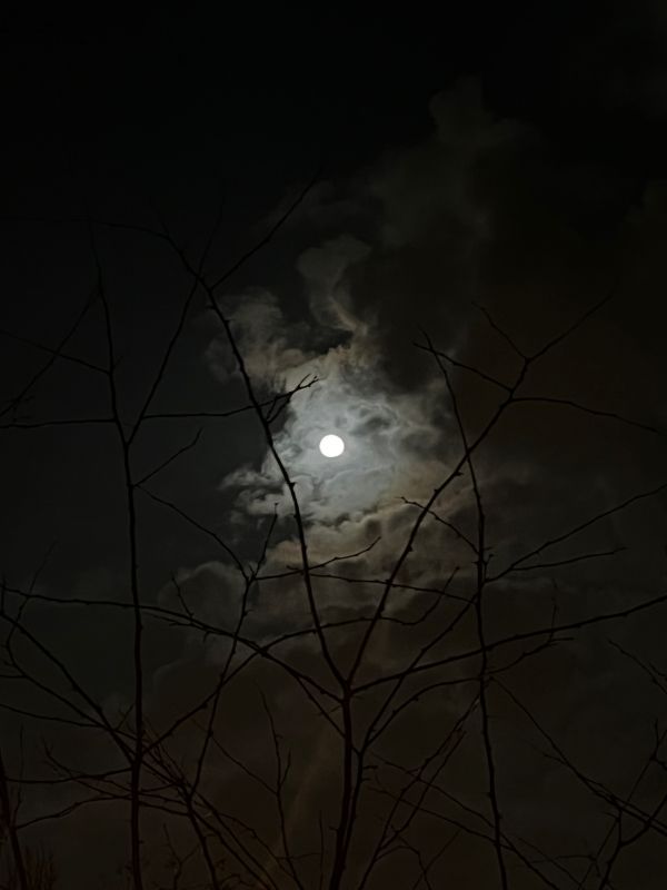 Тест: узнаете ли вы места города по снимкам из космоса?