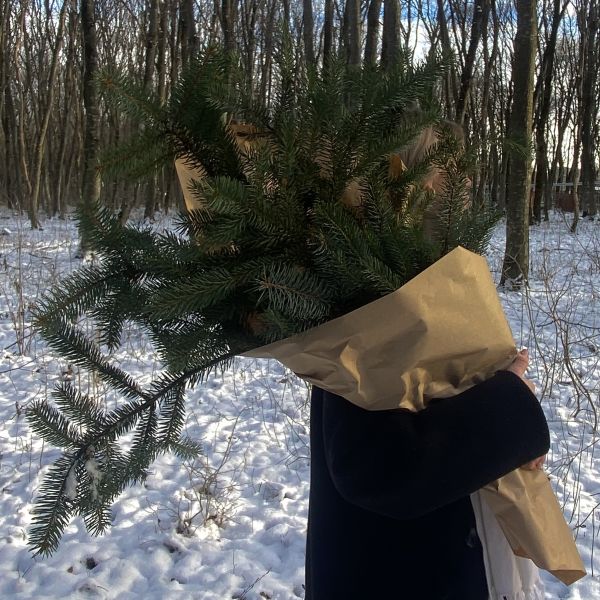 Как украсить ёлку на Новый год?