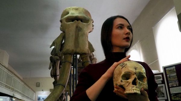 Скелеты прошлого: какие ископаемые находят на территории Ставрополья?