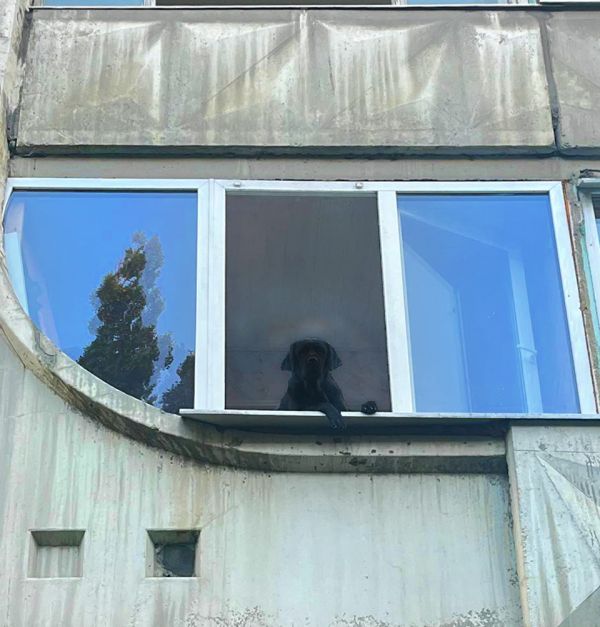 Из окна: почему в Ставрополе люди выпадают из многоэтажек