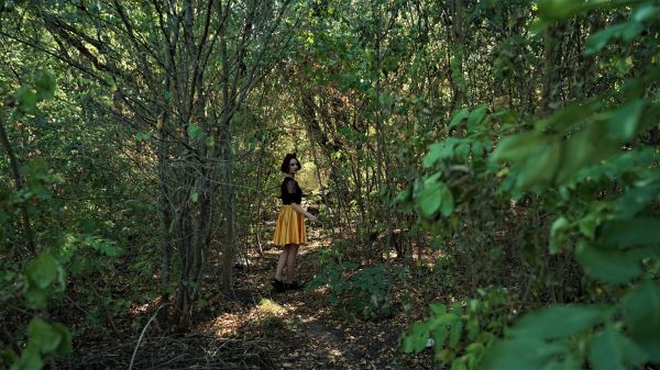 Код города: почему Ставрополь - зеленый город?