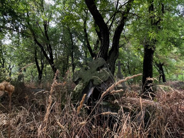 Путешествие по забытым культурным объектам: в чем ценность ставропольских кладбищ?