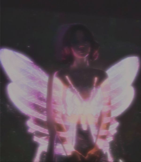 Знай врага в лицо: тест на знание кусачих и жалящих Ставрополья