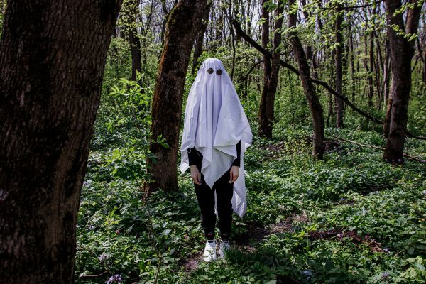 Пешие и туристические: подборка экотроп Ставрополья