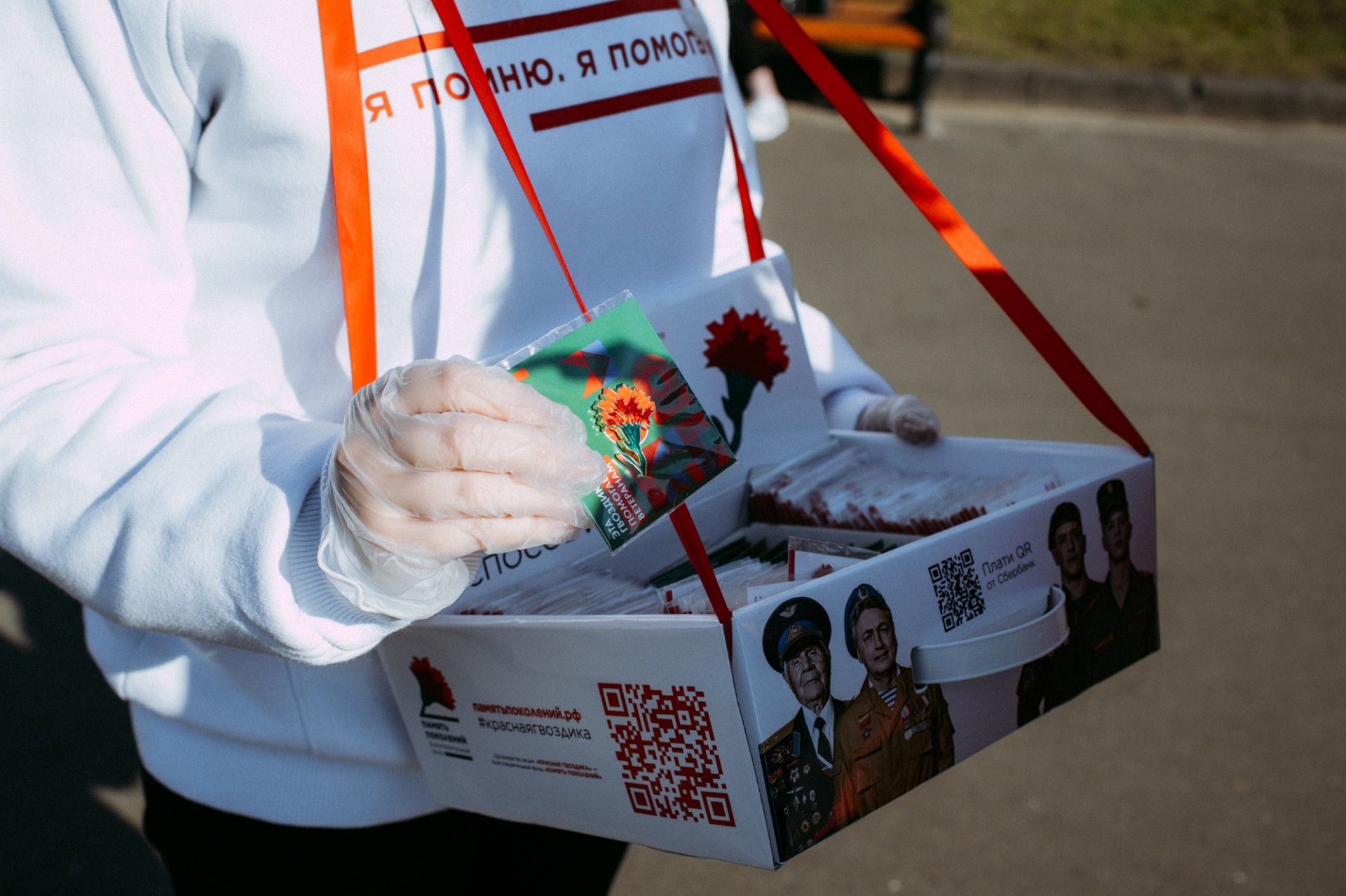 Ставрополье присоединится к благотворительной акции Красная гвоздика для помощи ветеранам