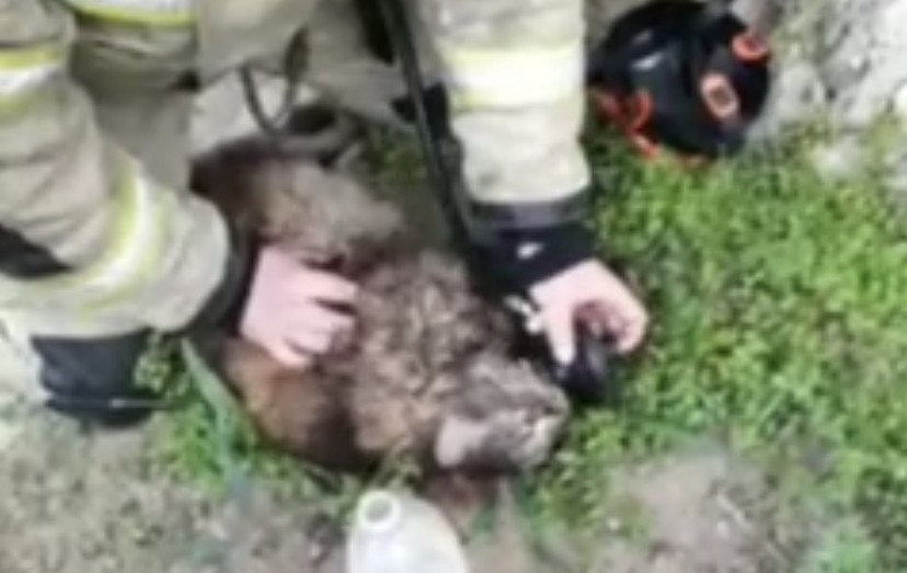В Минеральных Водах случился пожар в многоквартирном доме
