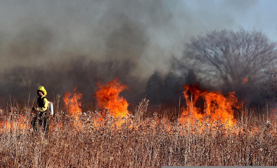 В Ставропольском крае с 30 апреля по 4 мая произошло 16 пожаров