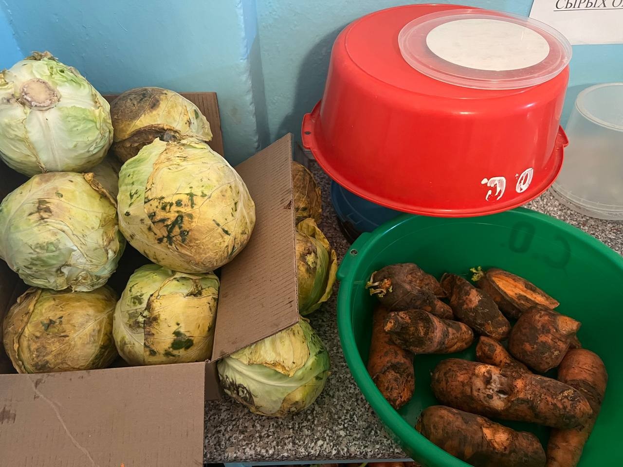 Прокуратура нашла испорченные овощи в школьных столовых Труновского округа