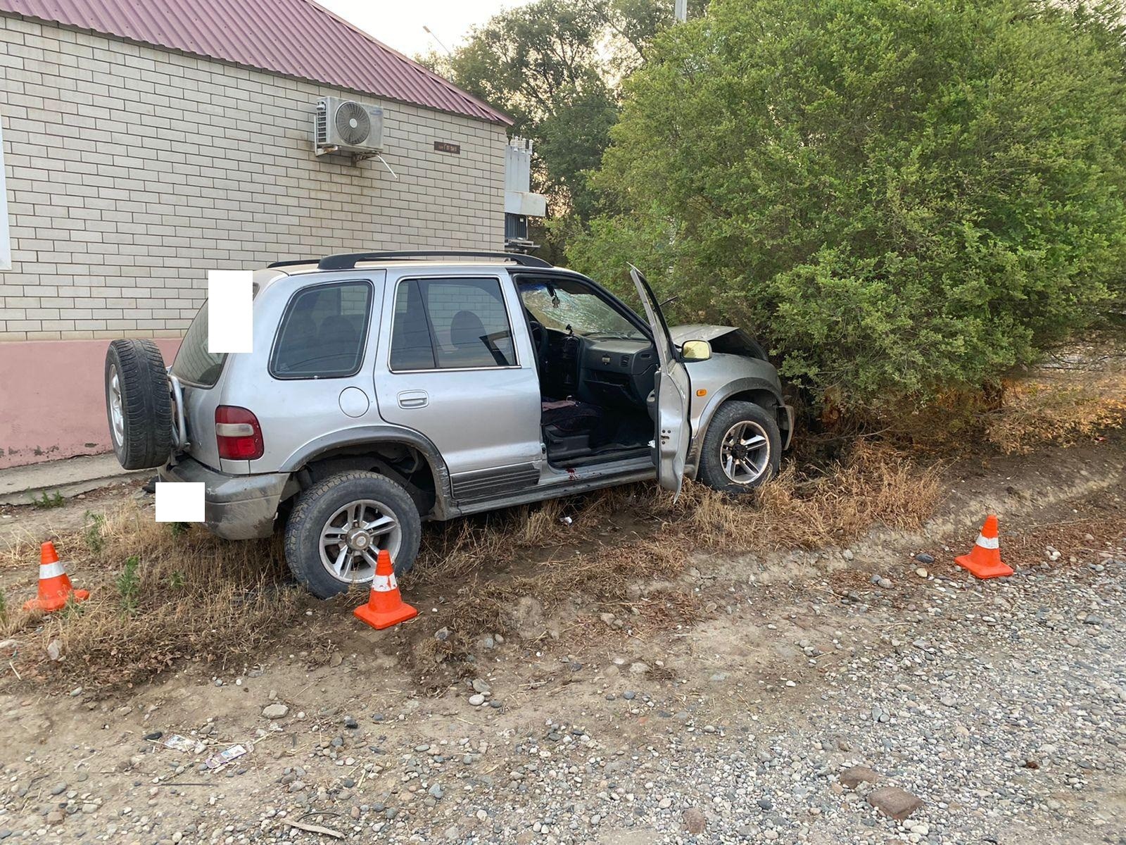 Пьяный водитель на Kia Sportage врезался в дерево на Ставрополье |  27.06.2022 | Ставрополь - БезФормата