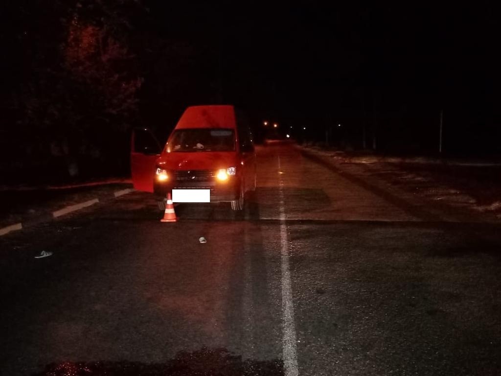 Два пешехода попали под колёса микроавтобуса на Ставрополье