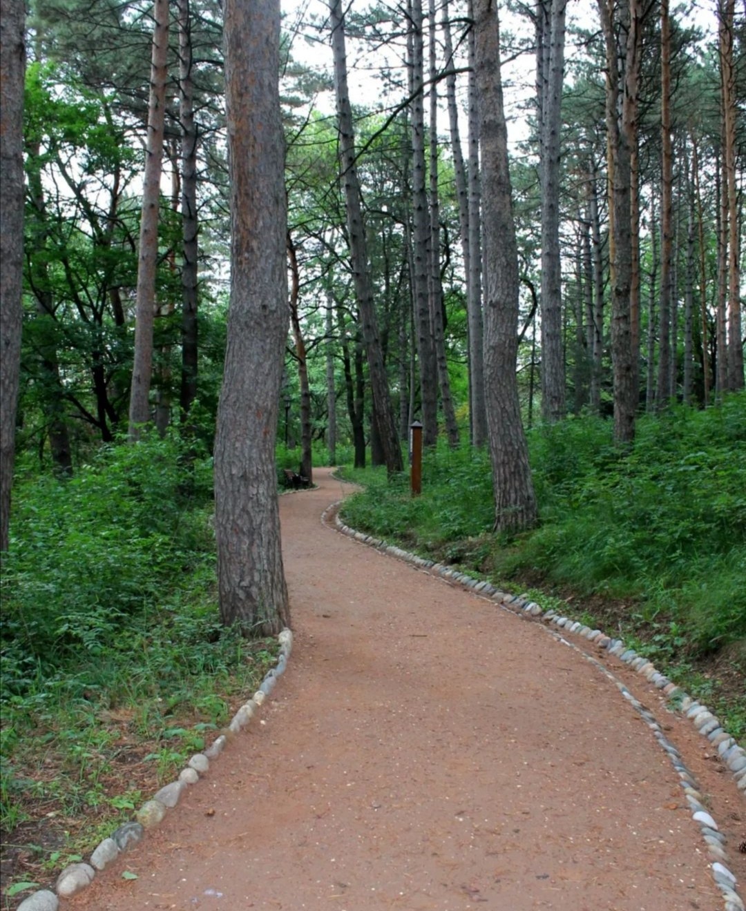 Терренкур. Терренкур Кисловодск. Терренкур Выбье. Терренкур тропа здоровья в Мацесте. Кисловодск терренкур парк.