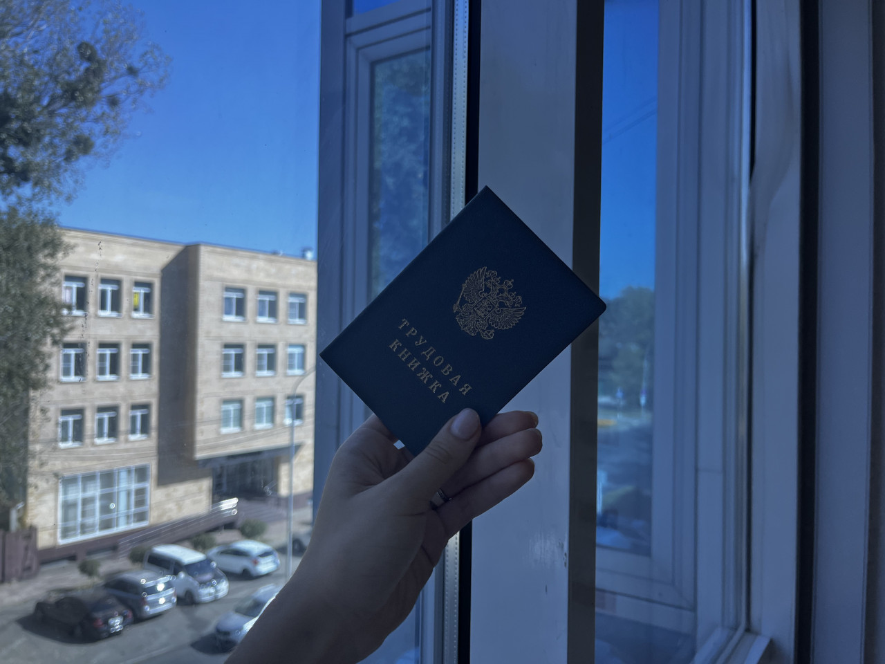 Как оформить электронную трудовую книжку в 2023 году