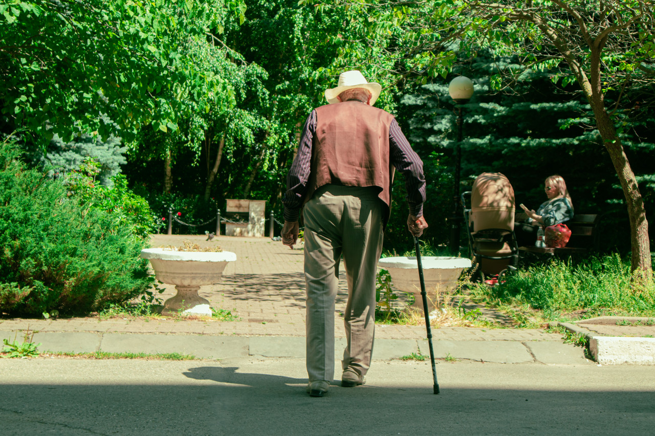 Как получить звание “Ветеран труда Ставрополья”?