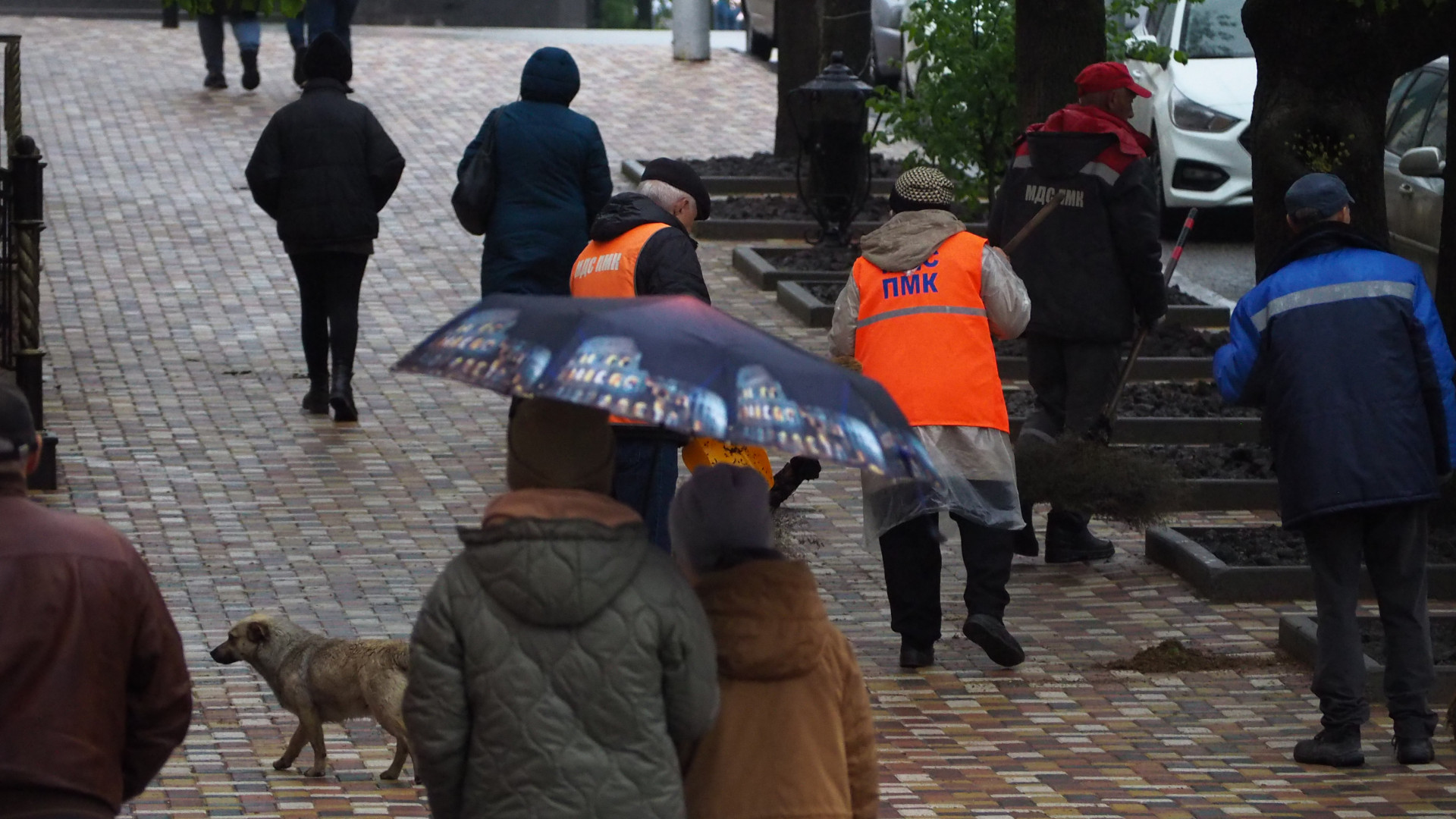 Дождь и грозу прогнозируют в воскресенье на Ставрополье