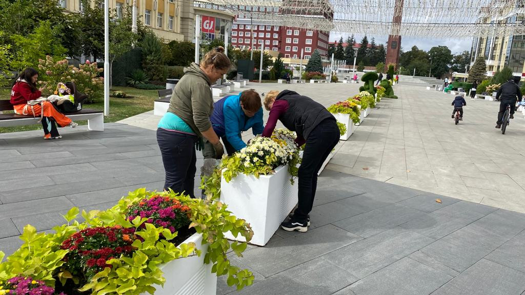 Новый цветник в центре Ставрополя испортили вандалы