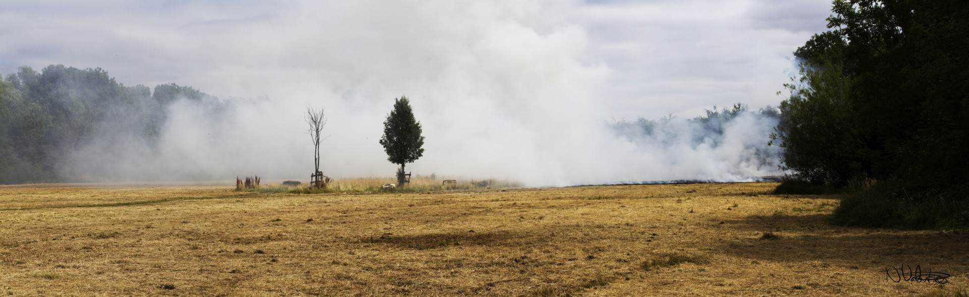 В Туркменском округе Ставрополья зафиксировано горение сухой травы