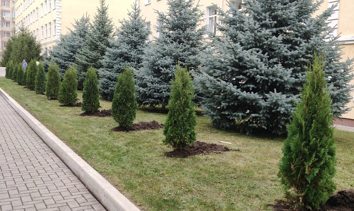 Аллея ангелов появилась в Ставрополе