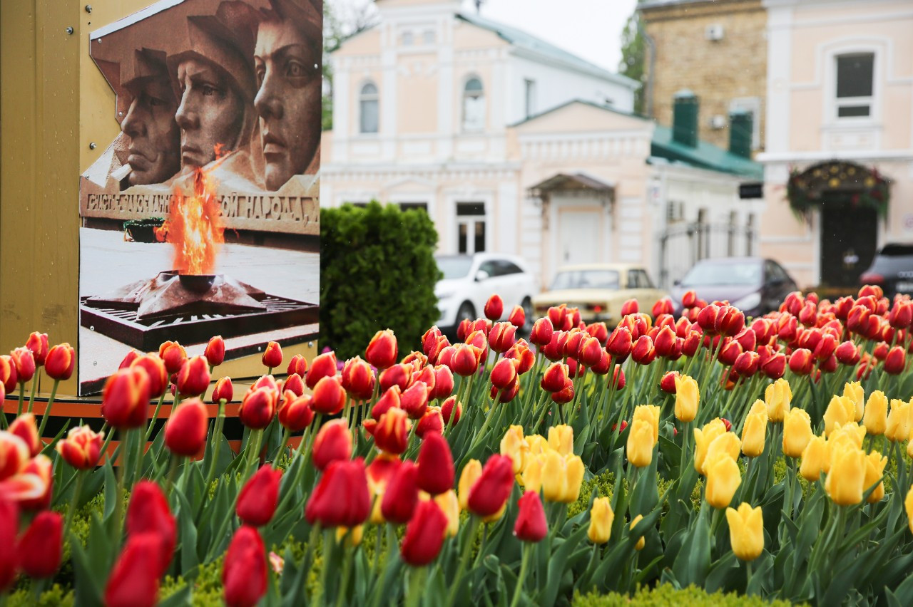 Более 200 тысяч цветов посадят к весне в Ставрополе